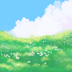 Fototapeta premium green grass and blue sky