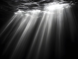 Sunlight Piercing Water: A mesmerizing scene captures shafts of light penetrating the water's surface, creating a captivating interplay of light and shadow in this underwater view.