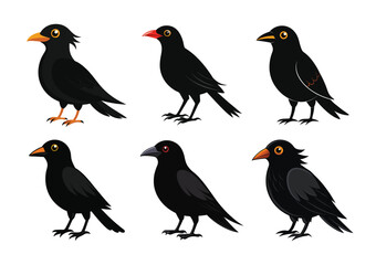 collection of birds vector animal illustration 