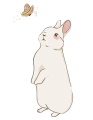 a bunny illustration