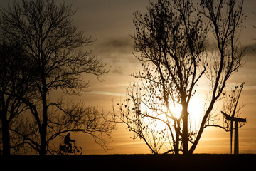 Naklejka premium Silhouetted cyclist rides along a pathway beside trees at sunset, creating a serene evening atmosphere