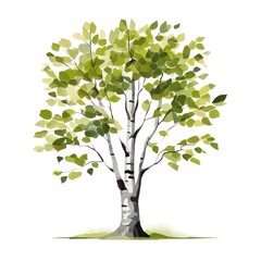 Obraz premium an AI Image Generator, Detailed Botanical Illustration of a Birch Tree