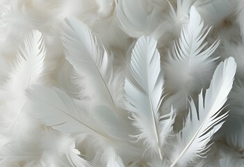 Fototapeta premium white soft feathers background