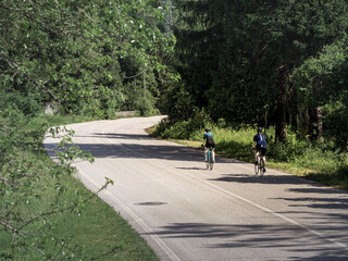 Fototapeta premium Two cyclists ride along a winding road on the Alpe Adria cycling path in Italy, surrounded by lush greenery. A peaceful summer scene perfect for outdoor adventure and cycling enthusiasts.