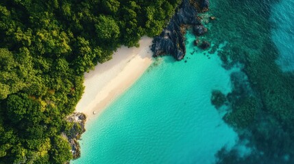 Tropical Beach Paradise Aerial View