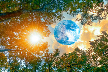 Naklejka premium Captivating celestial alignment above a serene forest during a radiant sunset