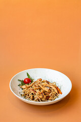 Stir-fried pasta with chicken and vegetables, Noodles with chicken and vegetables