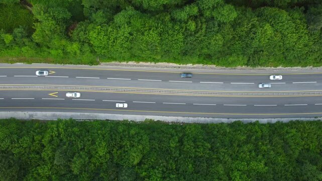 forest road