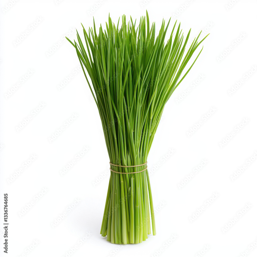 Poster a lush bunch of green lemongrass bushes displayed in a natural setting with ample copy space for tex