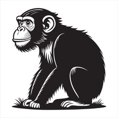 Obraz premium monkey Vector 