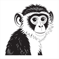 Fototapeta premium monkey Vector 