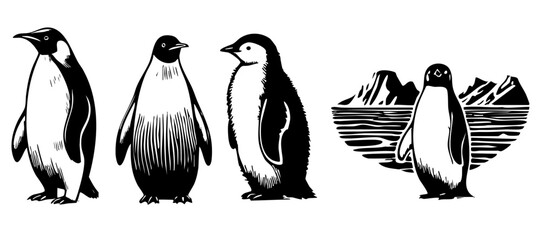 Obraz premium silhouette of a cartoon penguins