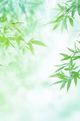 Naklejka premium Bamboo leaves on a light green and white background,