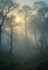 Mystical Sunrise in a Foggy Forest