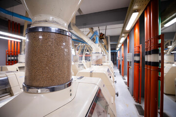 Modern Electric Grain Mill Grinder
