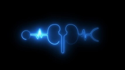 glowing kidney icon 4k animation by cyan pink neon on black background. Glowing Human kidney icon animation. Glowing neon human kidneys system symbol is a cyan pink neon kidney animation. heart symbol