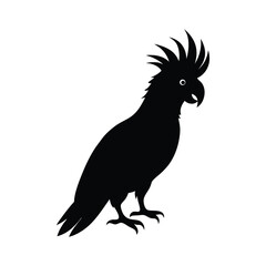   Cockatoo silhouette vector illustration 