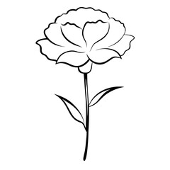 an elegant black and white line drawing of a beautiful flower. The flower has layered petals, long stem and two leaves. vector illustration