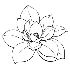 Fototapeta premium a simple outline of a blooming flower vector illustration