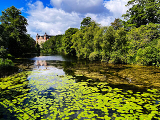 Scenic view of lake covered with water lilies and a castle in the background in Copenhagen