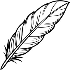 Obraz premium Detailed Contour Hawk Feather Sketch in Black Representing Wildlife Freedom with Copy Space
