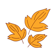 Autumn Leaves Illustration