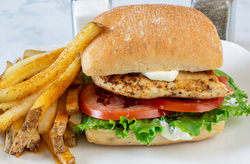 chicken sandwich  with seasoned  french fries