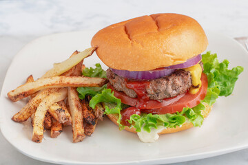hamburger on a brioche bun served with fries