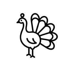 Illustration of a peacock with detailed feathers