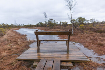 a wooden boardwalk with a bench located in a swampy area.