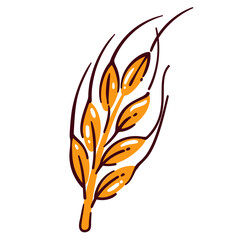 Wheat ear with gold grains and spikes. Golden spikelet with seeds from farm field for making white flour. Agriculture, bakery mascot, wheat crop cartoon vector illustration