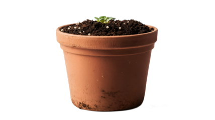 A small plant is growing in a clay pot. The pot is brown and has a rough texture. The plant is small and he is just starting to grow