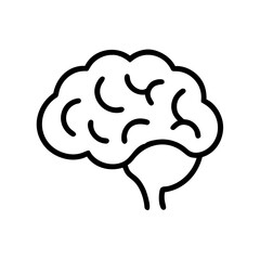 brain