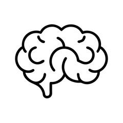brain