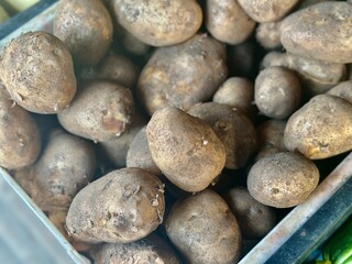 Fresh potatoes at a traditional market – a kitchen staple for various hearty and delicious...
