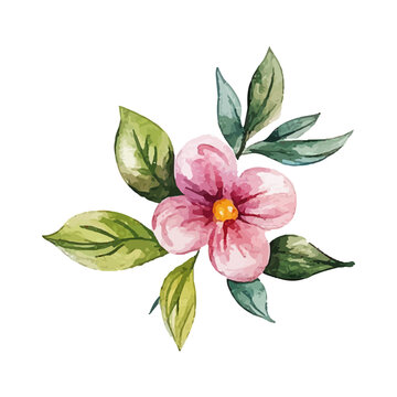 Watercolor Pink Flower with Green Leaves isolated on white background