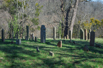 Stary cmentarz żydowski, macewy.