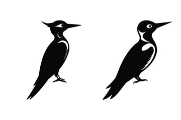 Woodpecker silhouette vector illustration 