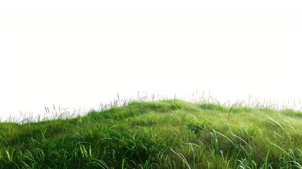 Fototapeta premium Grassy Hill grass green countryside.