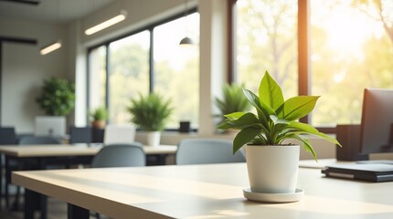 Fototapeta premium VibrantGreenPlantInModernOfficeSunlightStreamsThroughLargeWindowsIlluminatingCleanDeskSpaceCreatingSereneWorkAtmosphere