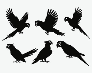 Obraz premium set of parrot birds icon in solid white background. silhouettes of birds set of birds set of silhouettes of birds