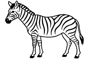 Abstract Zebra Outline