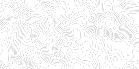 Abstract topography pattern lines sea map area space geometric strip grid line topo map technology modern design white background.