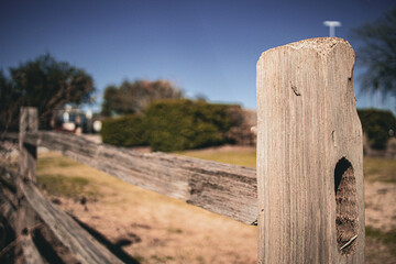 wooden fence