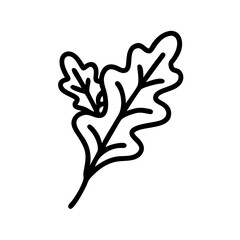 Obraz premium Arugula 