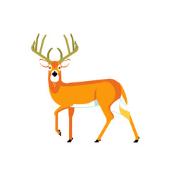 White tailed deer buck mid century modern