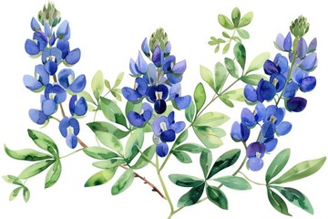 Bluebonnet Branches with Green Leaves Watercolor Illustration on White Background