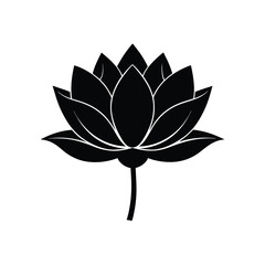 lotus flower vector illustration