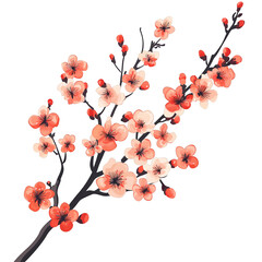 Blossom branch with pink flowers beautiful floral design on transparent background