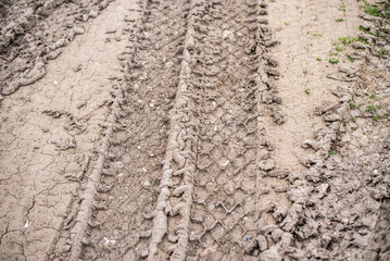 Truck Tire Tracks on Dried Mud Surface